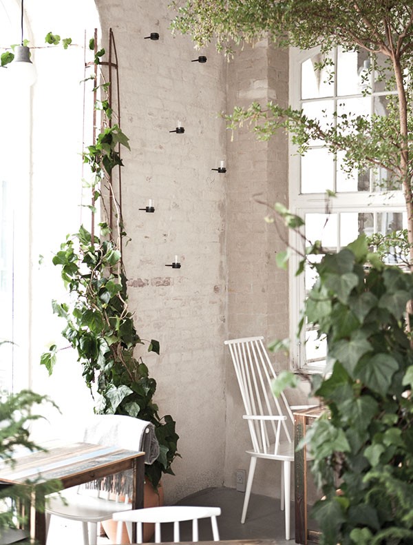 Restaurant Höst won award